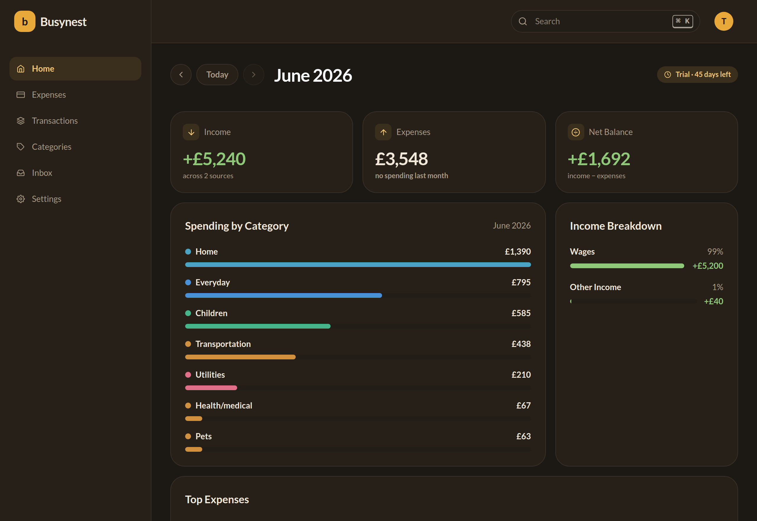 Busynest expense tracking dashboard showing multi-currency expenses