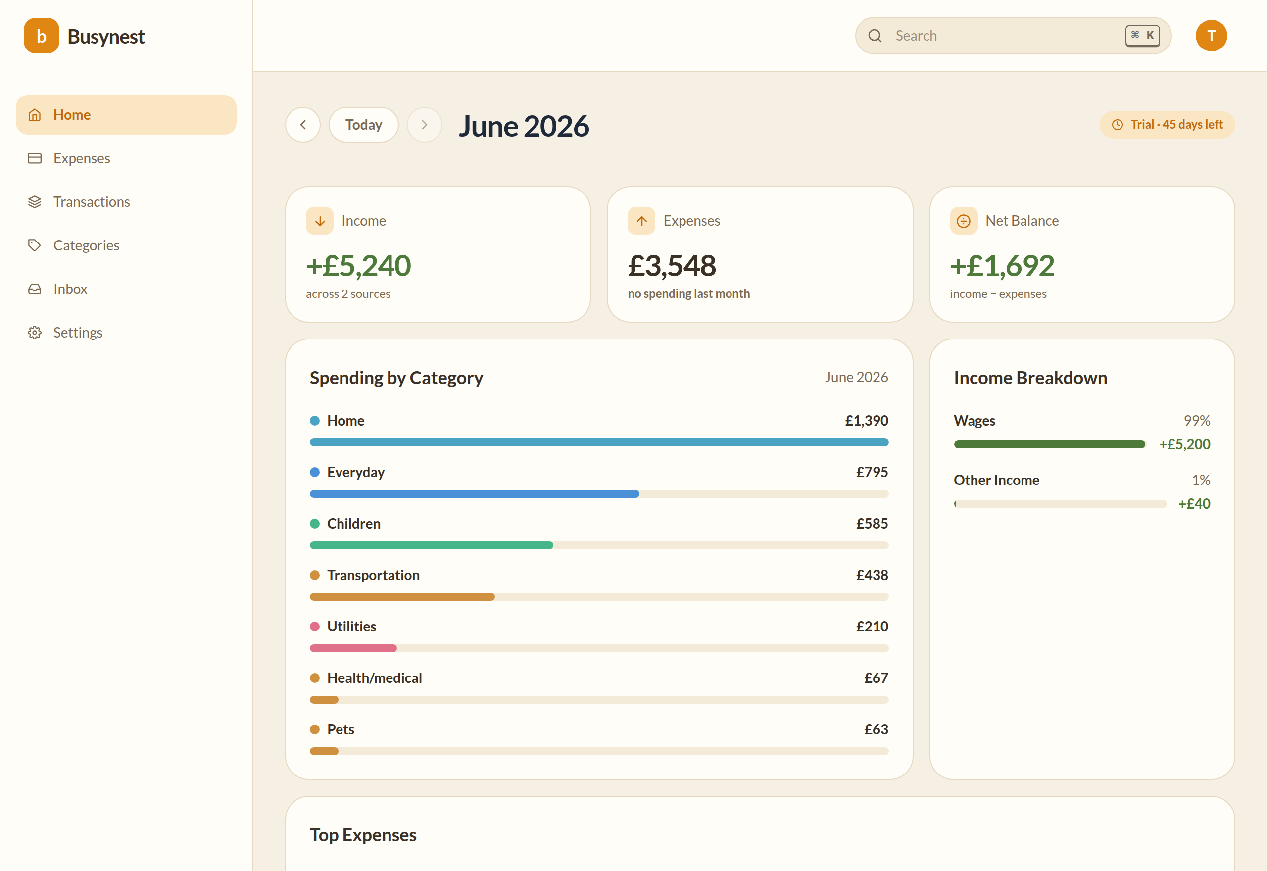 Busynest expense tracking dashboard showing multi-currency expenses
